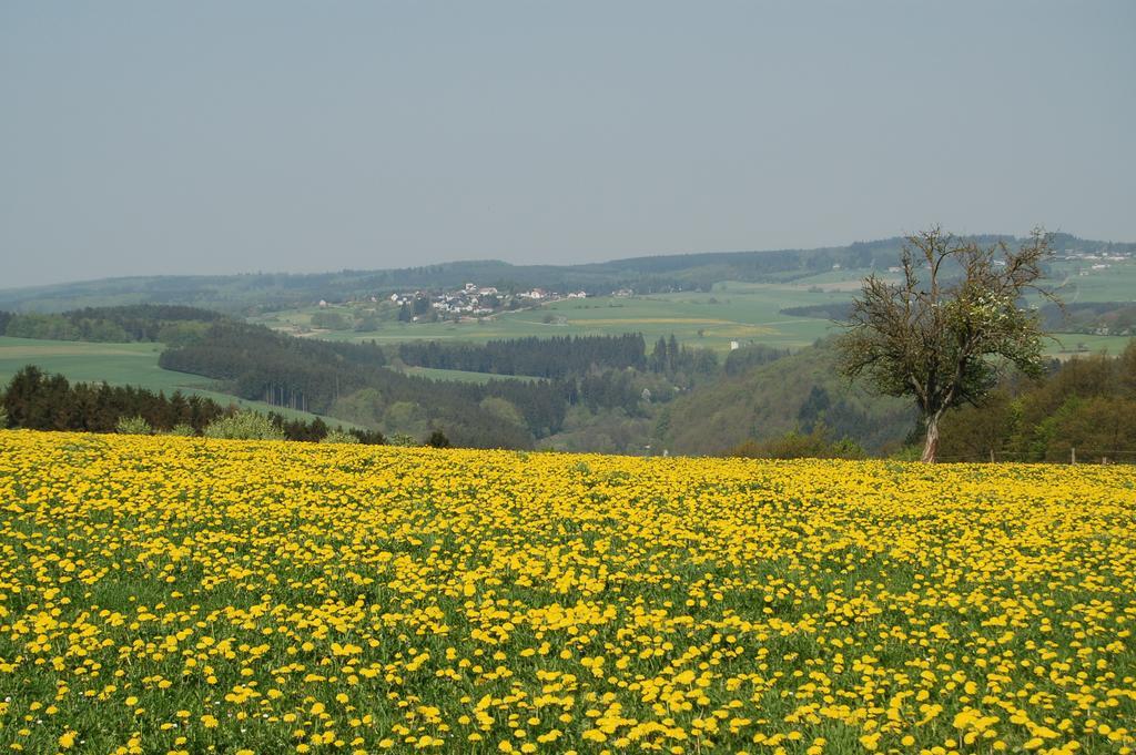 Landgasthaus Pfahl Wershofen Экстерьер фото