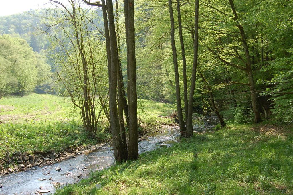 Landgasthaus Pfahl Wershofen Экстерьер фото
