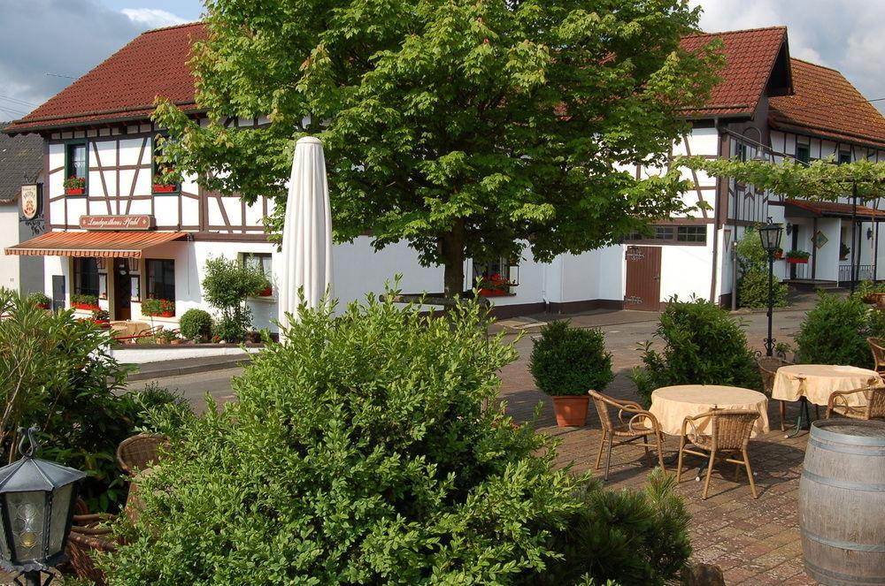 Landgasthaus Pfahl Wershofen Экстерьер фото