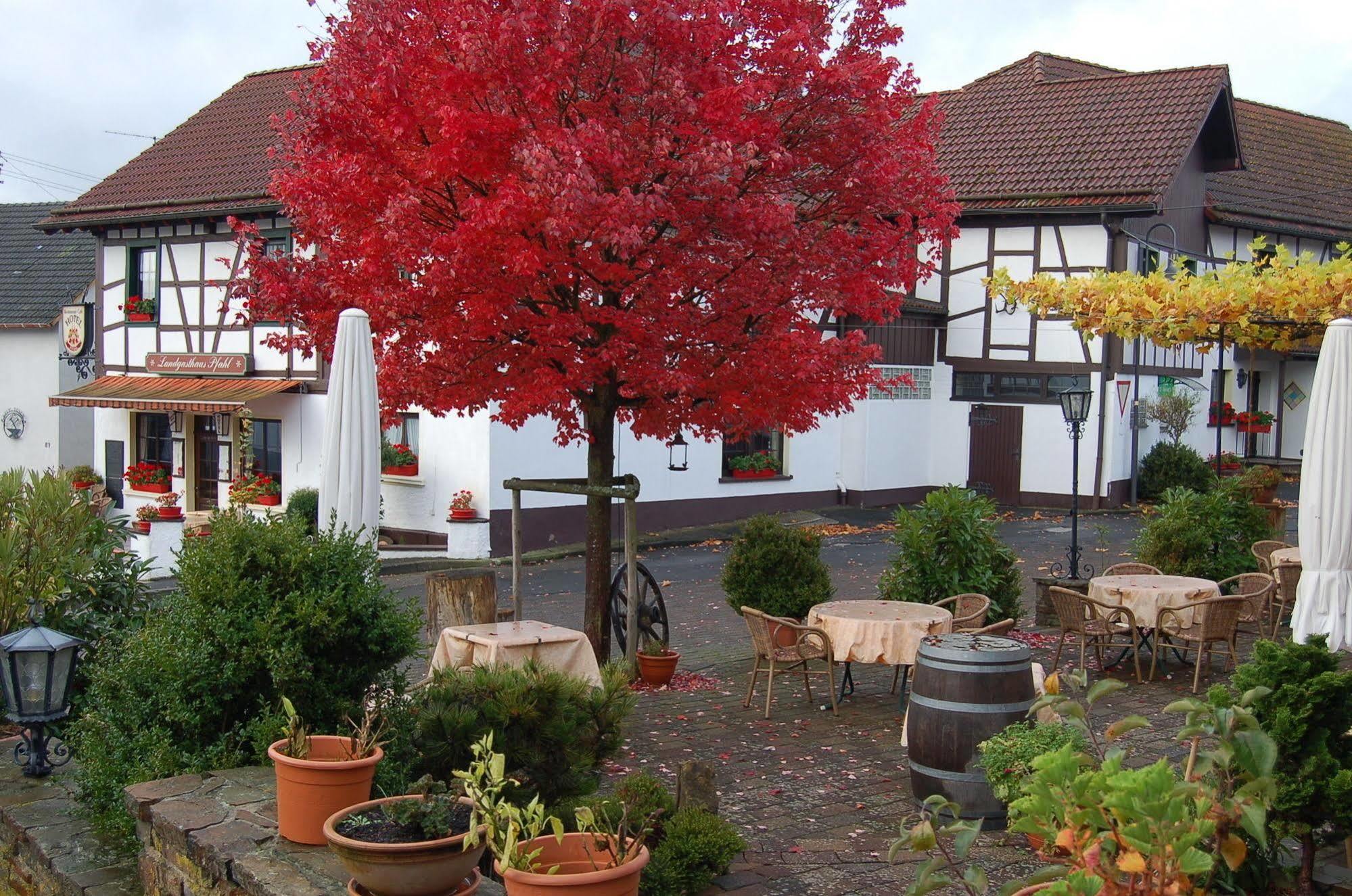 Landgasthaus Pfahl Wershofen Экстерьер фото